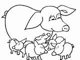 Pig Baby Pages Cute Coloring Pigs Getcolorings sketch template