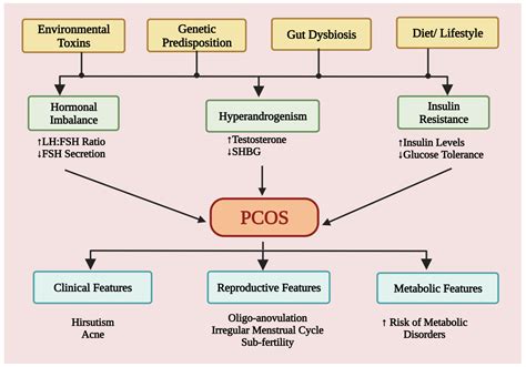 Jcm Free Full Text Polycystic Ovary Syndrome Etiology Current