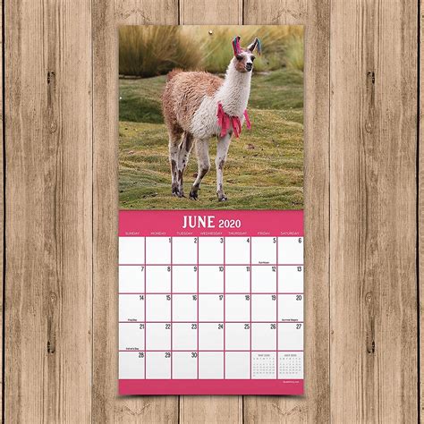 2020 Llamas Mini Calendar