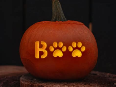 Easy Animal Pumpkin Carving Ideas