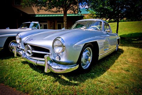 Gullwing Photograph By Ches Black Fine Art America