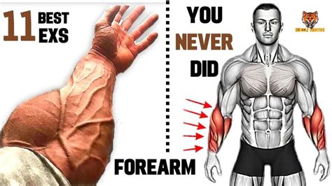11 Best Exercises For Bigger Forearms That You Never Did At Gym