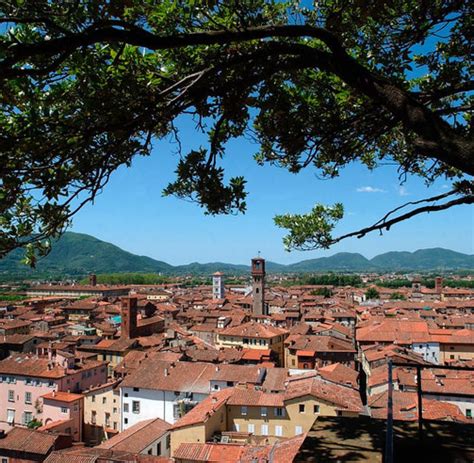 Ein urlaub in der toskana bleibt für die aus freising stammende familie donner nicht ohne folgen. Italien: Drehort Toskana - eine Reise auf filmischen ...