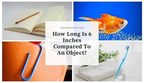 How Long Is 6 Inches Compared To An Object Measuring Stuff