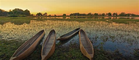The okavango delta is one of africa's most impressive wildlife areas. Exclusive Travel Tips for Okavango Delta in Botswana