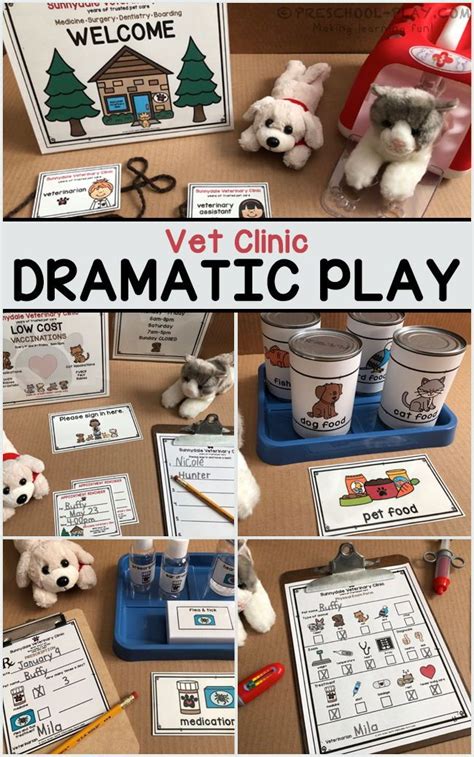 Vet Clinic Dramatic Play Dramatic Play Dramatic Play Centers Vet