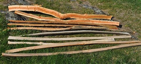 The Best Wood For Bows Archery Historian
