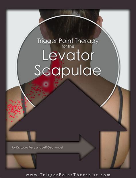Trigger Point Video For Levator Scapulae Muscle Trigger Points