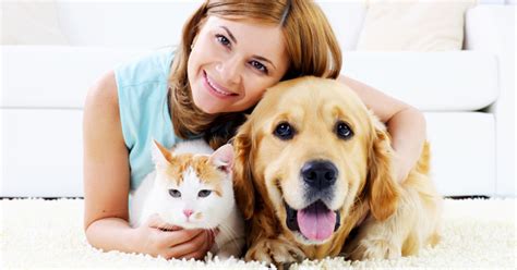 Pet ownership: what to consider before committing | I Live Up