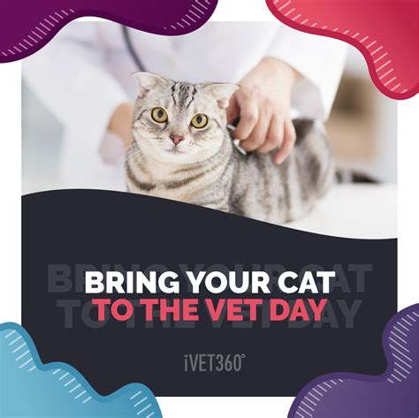 National Bring Your Cat To The Vet Day August 22 Ivet360 Social