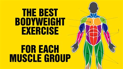 The Best Bodyweight Exercise For Each Muscle Group Calisthenic
