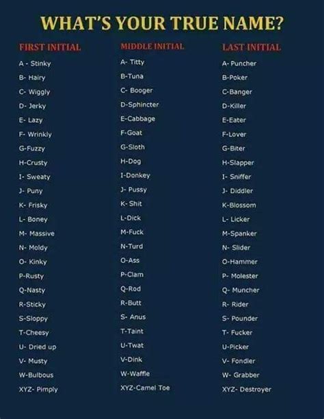 Pin By Lu Kroll On Funnies Funny Name Generator Funny Names Name