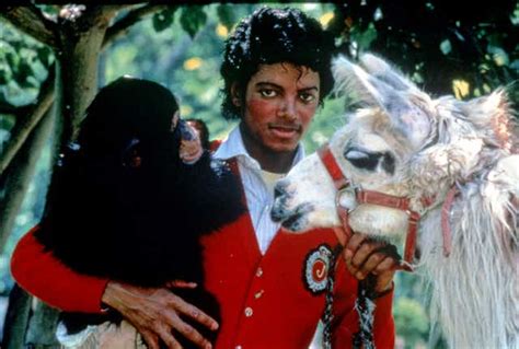 Neverland Ranch Latest News Breaking Stories And Comment The