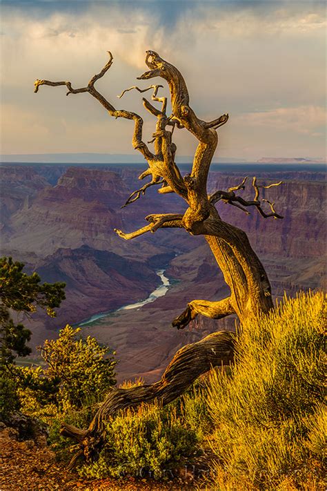 Southwest Eloquent Nature By Gary Hart