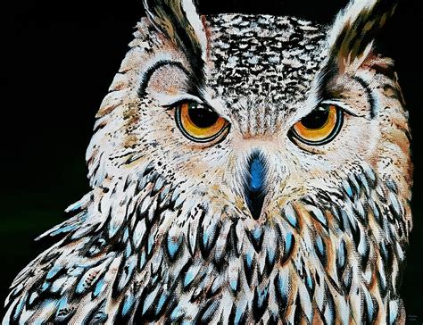 Owl Portrait Acrylic On Canvas Painting By Katarina Rachi Fine Art