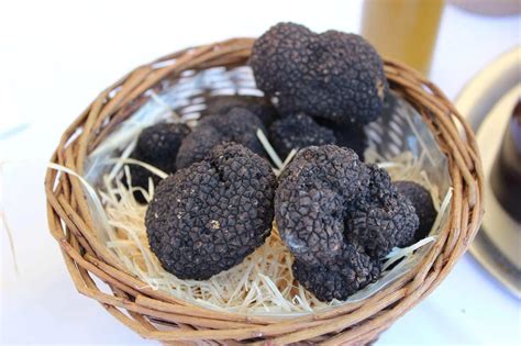 What is a truffle is, in the simplest terms, a fungus or mushroom of the genus tuber. What do Truffles Taste Like? - Nonna Box