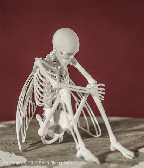 Download free 3d bone models. Wetland Fairy Skeleton on Behance