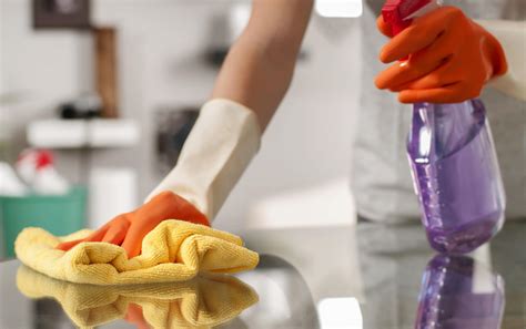 5 Benefits of Hiring Professional Home Cleaning Services - Easyworknet
