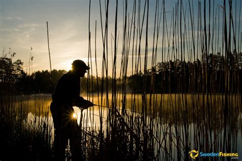 Vi är ett av de allra första bolagen med att introducera agil metodik i sverige. SwedenFishing.com - Artikel om Väder & Fiskesäsonger i ...