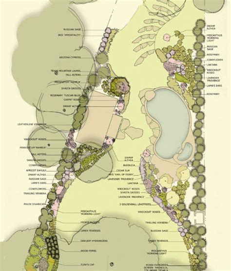 Planting Plan David Rolston Landscape Architects Residential