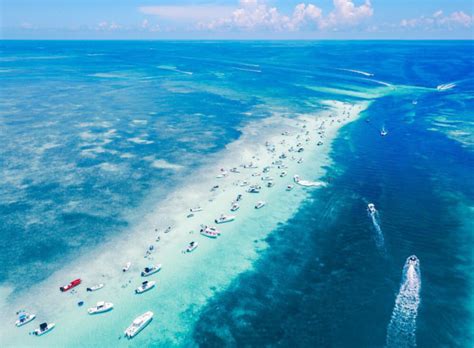 Sandbar With Images Key West Florida Beaches Islamorada Sandbar