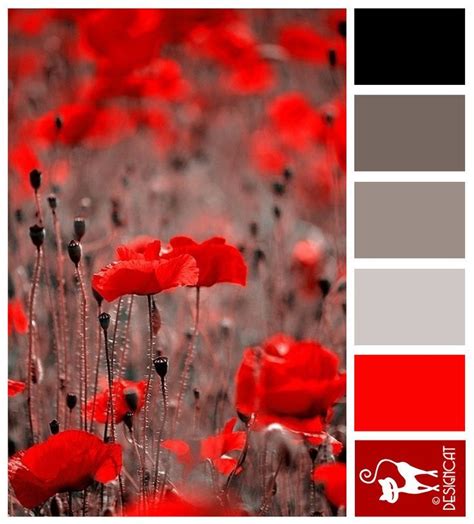 Poppy Red Black Grey Red Designcat Colour Inspiration Pallet More