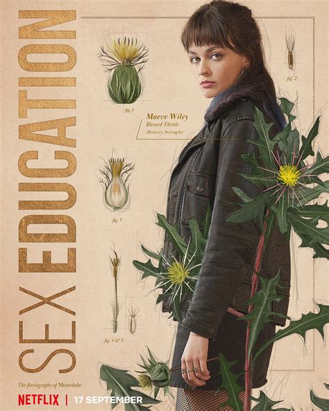 Sex Education 23 Of 34 Extra Large Tv Poster Image Imp Awards