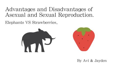 Advantages And Disadvantages Of Asexual Reproduction By Jj Chiu On Prezi