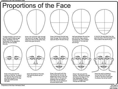 How To Draw Faces Worksheet Facial Proportions Notes Art Projects
