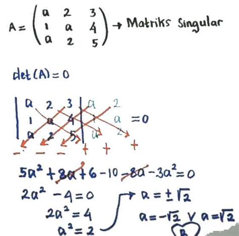 Contoh Soal Matriks Singular Beserta Jawaban Penjelasannya