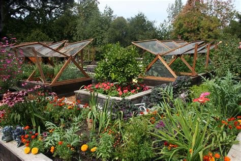 Inspire And Charm Vegetable Gardens