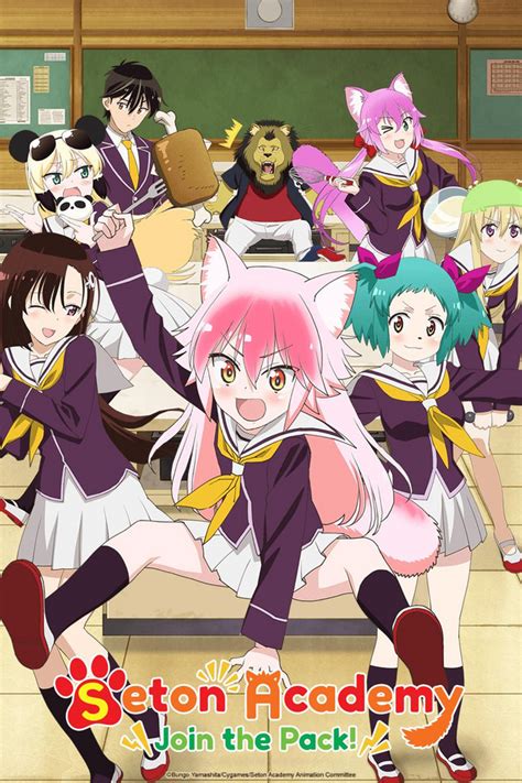 Seton Academy Join The Pack Anime Series Review