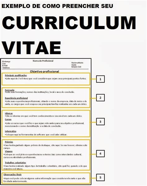 Curriculum Vitae Pronto 2014 Para Preencher E Copiar