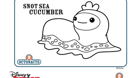 Echinodermata class leptosynapta dolabrifera, otherwise known as the snot sea cucumber, is one of 34 species of the. sea qucumer octonauts | Start | Derrik | Pinterest