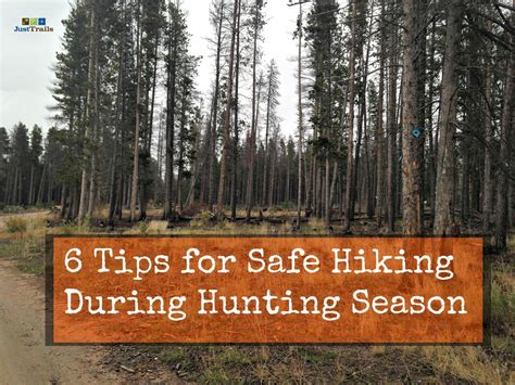 6 Tips For Safe Hiking During Hunting Season Hunting Season