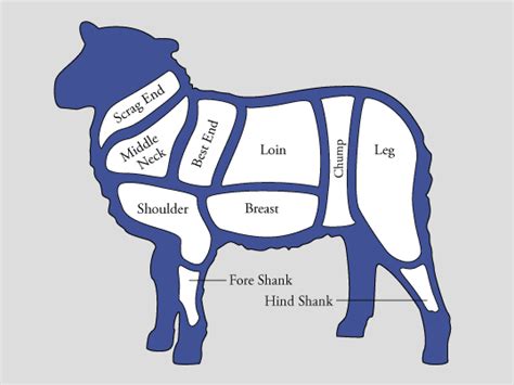 The lamb carcass dressed weight is usually between 25 and 27 kg (50 and 60 lb). Pony Club Cookbook