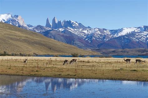 Patagonia And Pumalin National Parks In Chile Travel Begins At 40