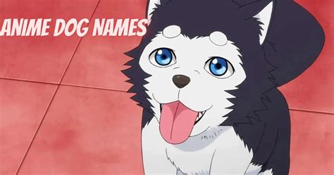 Choose The Best Anime Dog Names For Your Pet