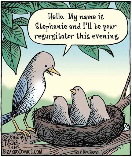 Bird Humor Comics Kingdom Bizarro Comic Funny Animal Pictures
