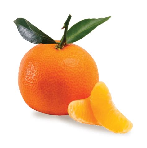 Clementine | Les Domaines Export
