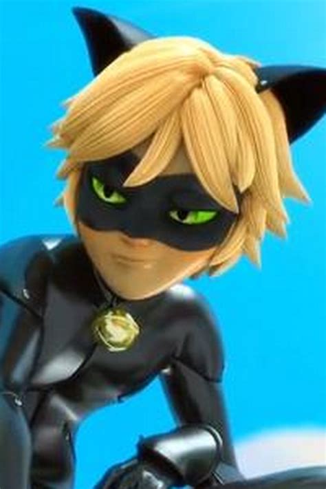 Miraculous Ladybug Cat Noir Anime Cosplay Wig ...