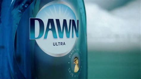 Dawn Tv Spot Saving Wildlife Ispot Tv
