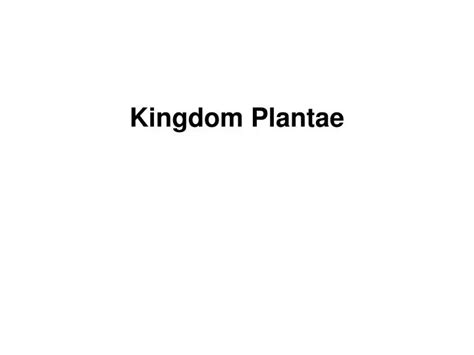 Ppt Kingdom Plantae Powerpoint Presentation Free Download Id3815720