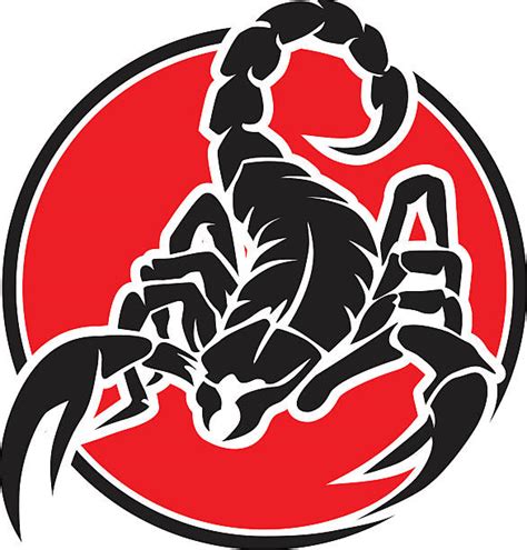Best Scorpion Illustrations Royalty Free Vector Graphics And Clip Art