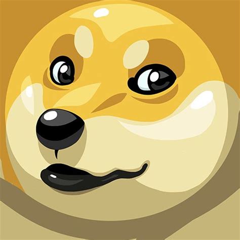 In the world of battle royale shooter games, you will find fortnite, pubg, and free fire. Pin on bdoge