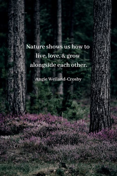 Nature Quotes For The Wandering Soul Nature Quotes Forest Quotes