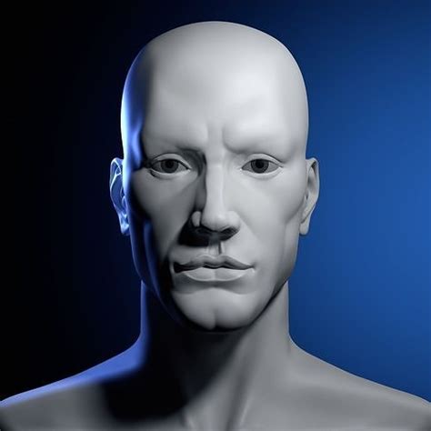 Head Anatomy 3d Model Rigged Cgtrader