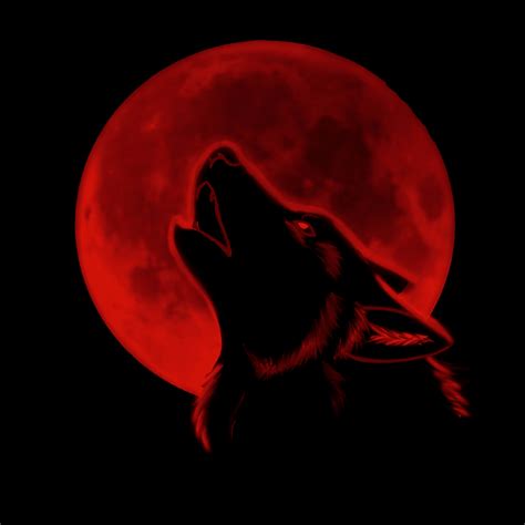 Lone Wolf Concerto Wolf Blood Moon