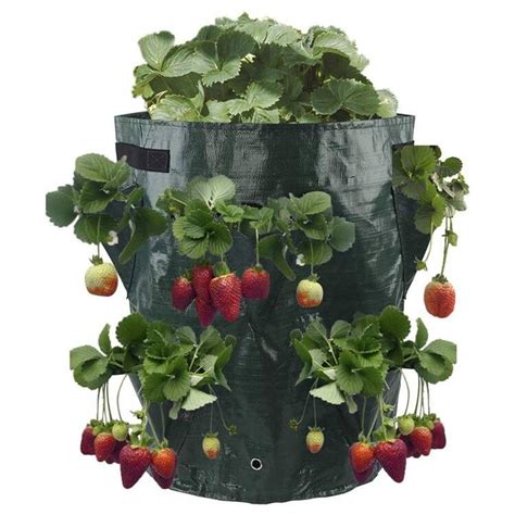 Custom Plastic Strawberry Growing Pots With 8 Pockets