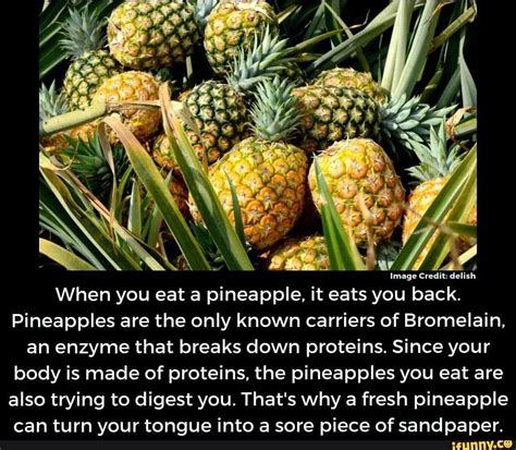 Image Credit Delish When You Eat A Pineapple It Eats You Back